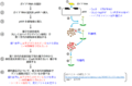 2021年11月8日 (月) 12:55時点における版のサムネイル