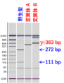 2021年11月10日 (水) 14:51時点における版のサムネイル
